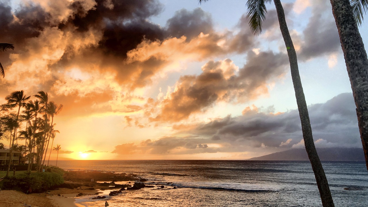 Photo of Others in Napili