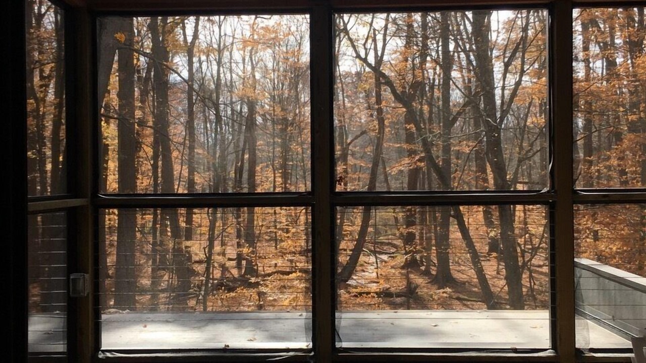 Photo of Outdoor in Harbert