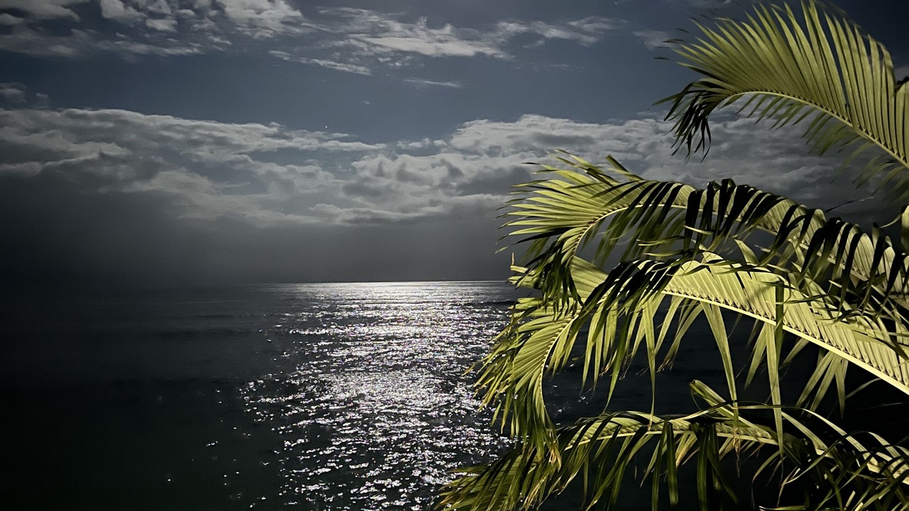 Photo of Others in Kahana