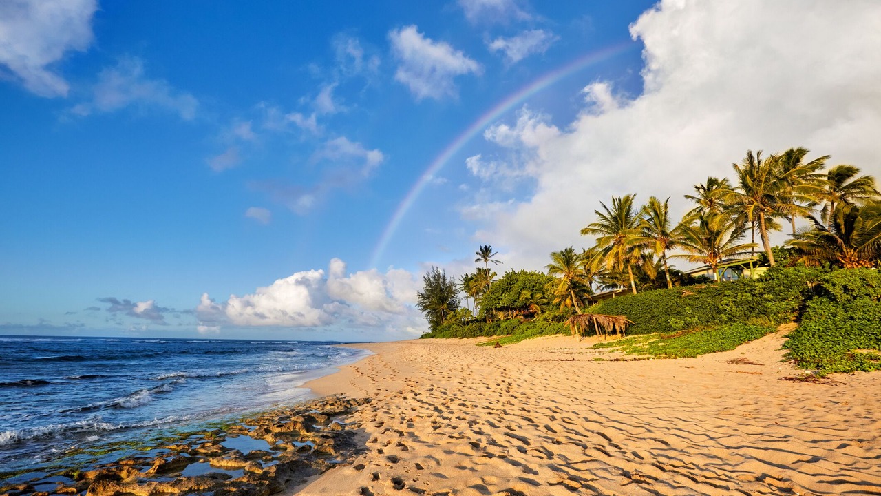Photo of Others in Mokuleia