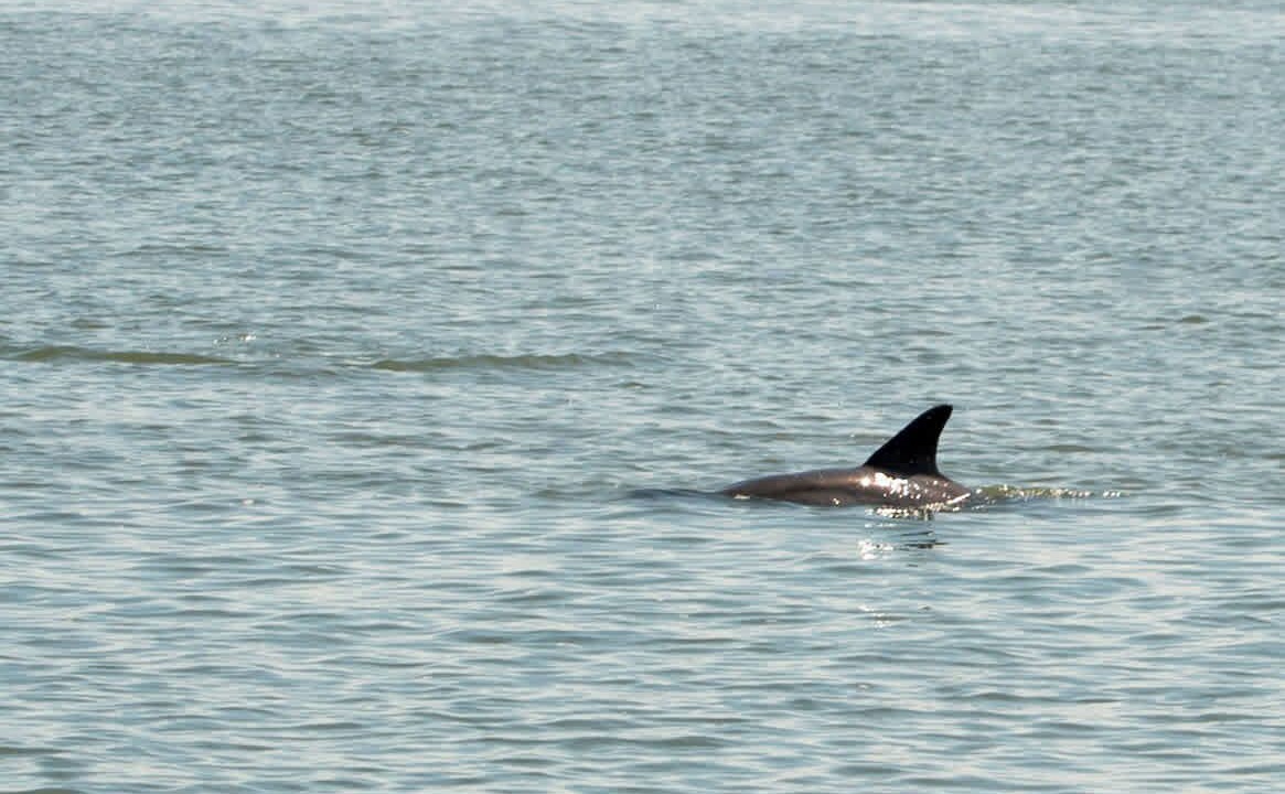 Photo of Others in St. Marys