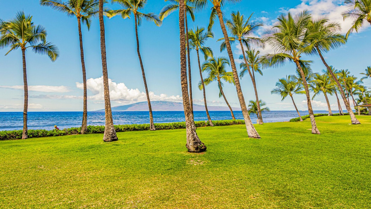 Photo of Outdoor in Historic Lahaina Front Street