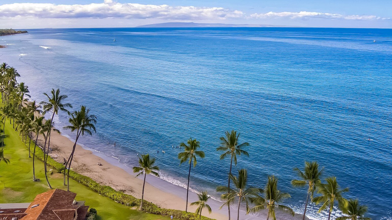 Photo of Others in Downtown Lahaina