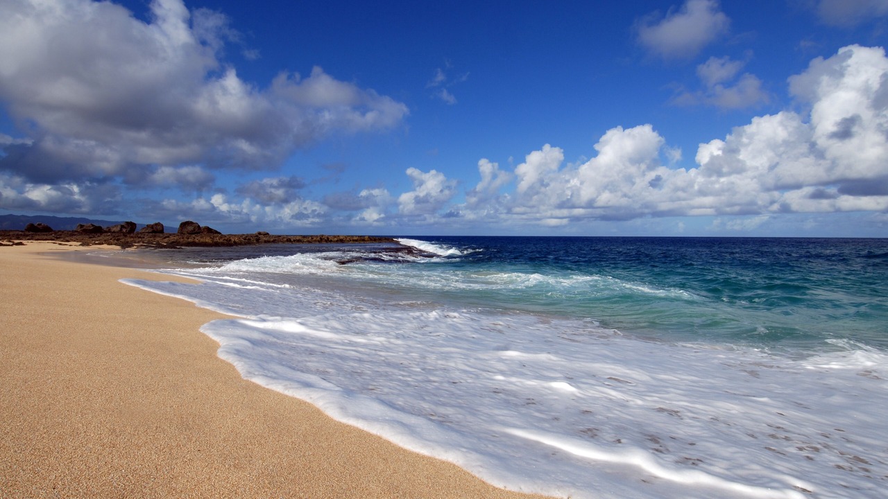 Photo of Others in Pupukea
