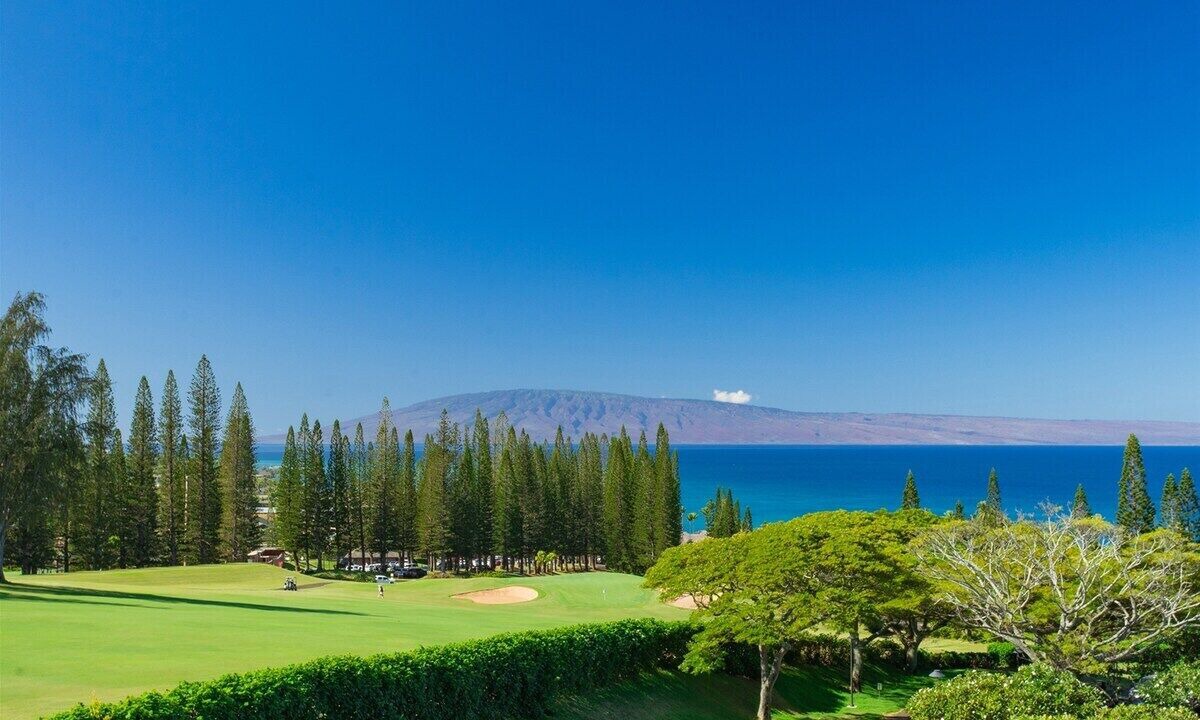 Photo of Others in Napili