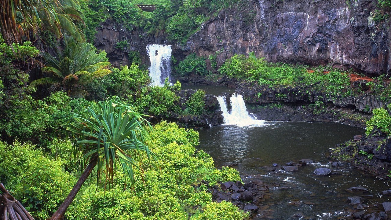 Photo of Outdoor in Lahaina