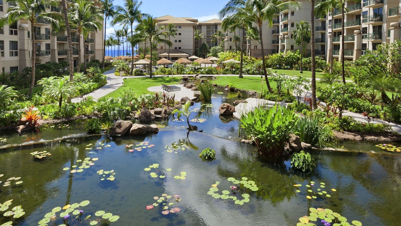 Photo of Outdoor in Lahaina