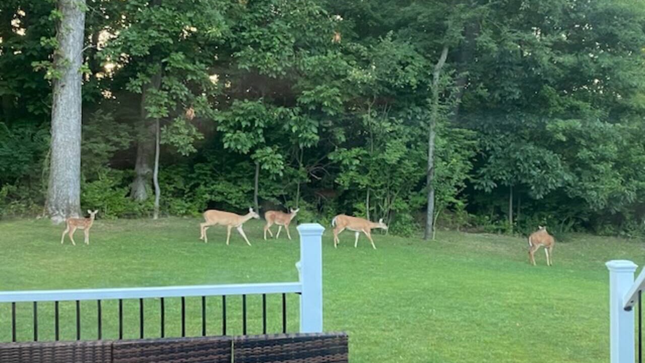 Photo of Others in South Bend