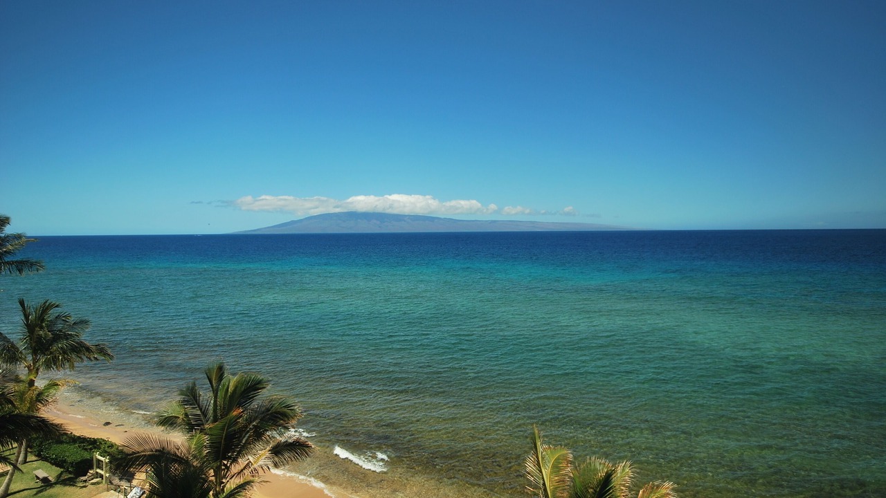 Photo of Others in Honokowai