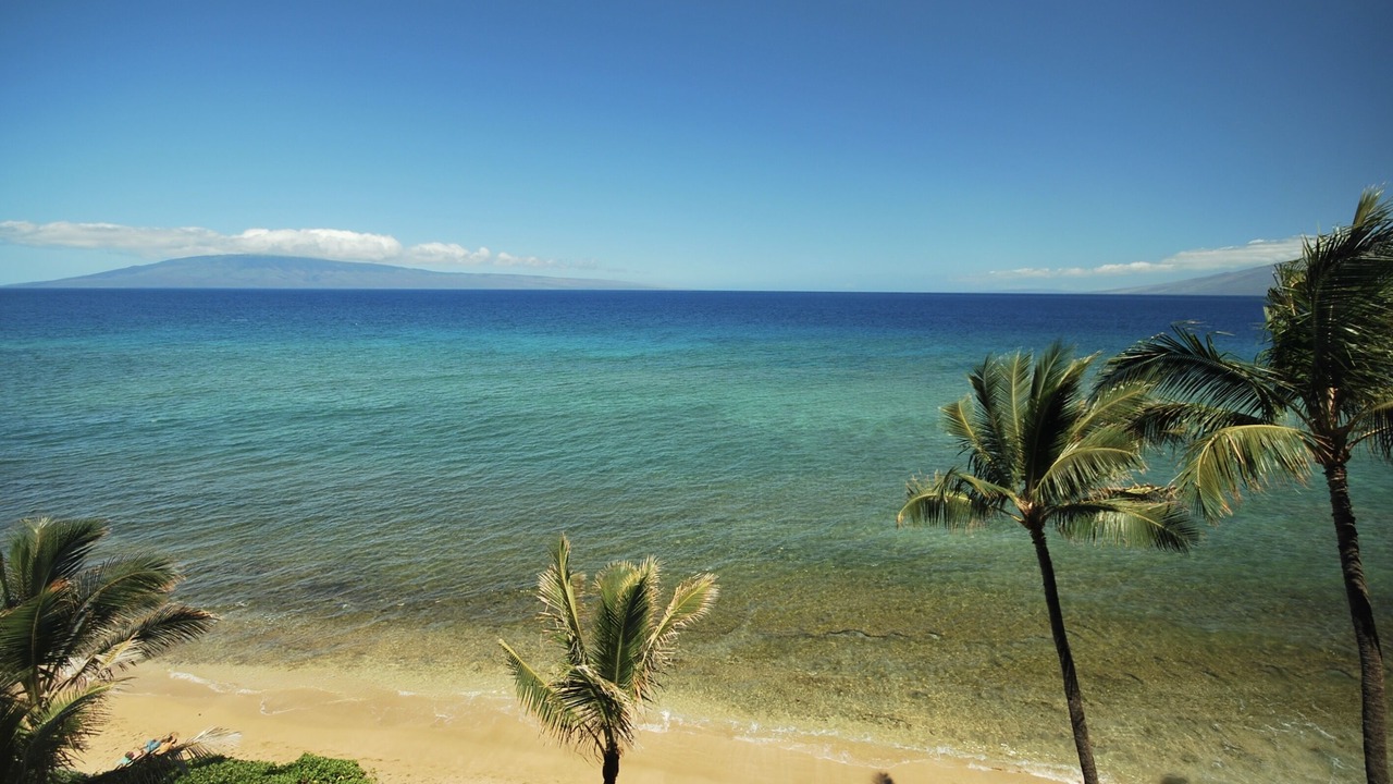 Photo of Others in Honokowai