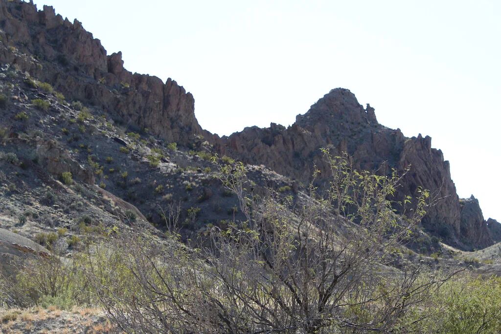 Photo of Others in Terlingua