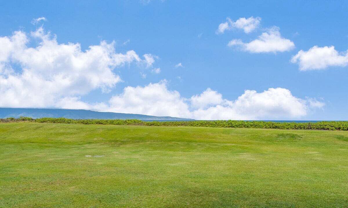 Photo of Others in Napili