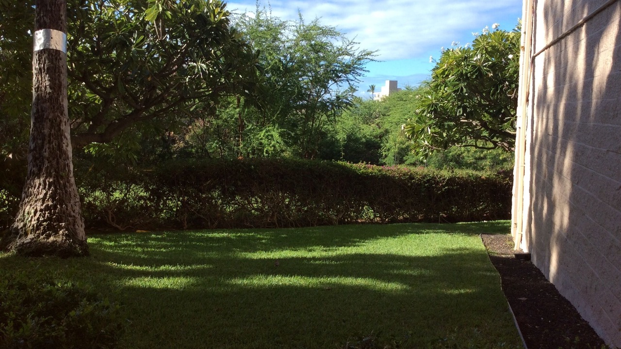 Photo of Outdoor in Kihei