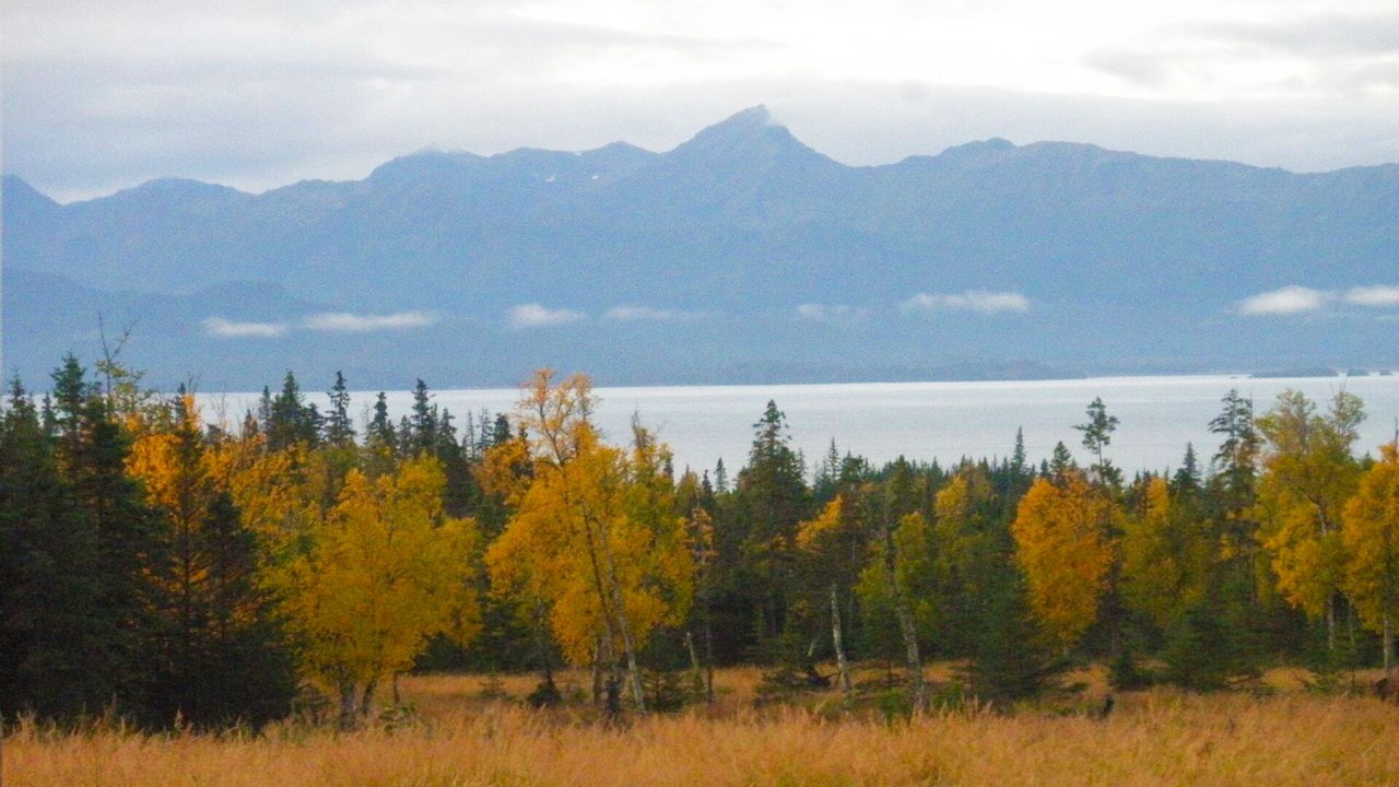 Photo of Others in Fritz Creek