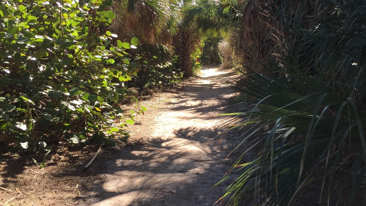 Photo of Others in Bradenton Beach