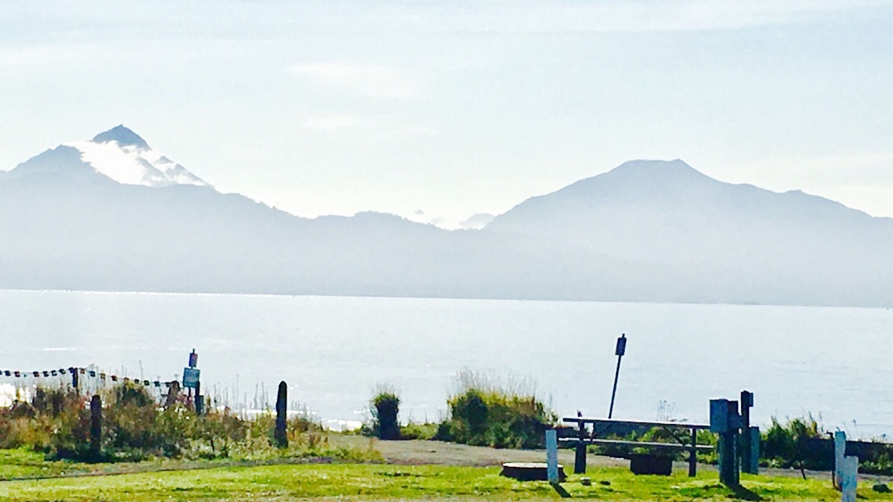 Photo of Others in Homer