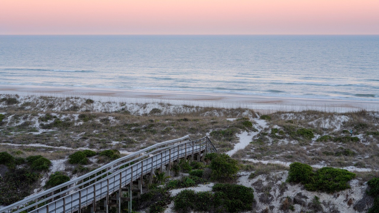 Photo of Others in Amelia City