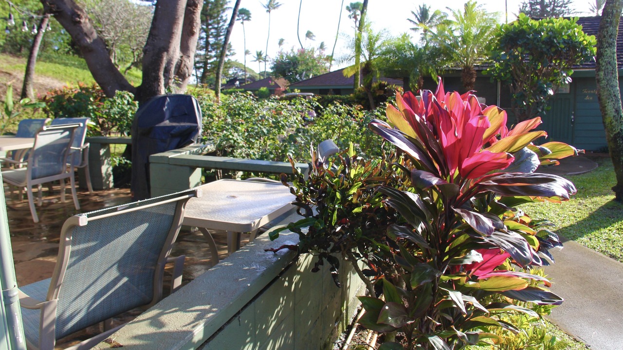 Photo of Others in Kaanapali