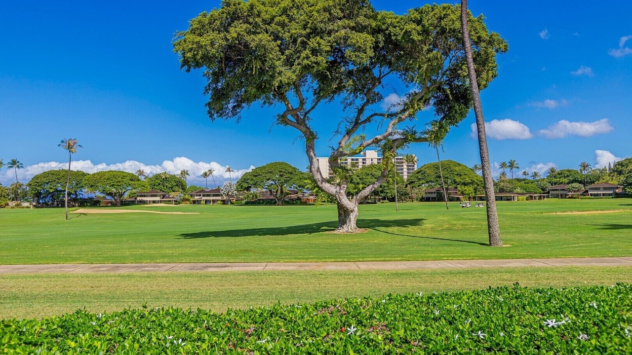 Photo of Others in Kaanapali