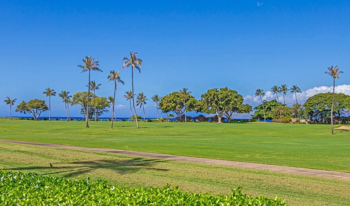 Photo of Others in Kaanapali