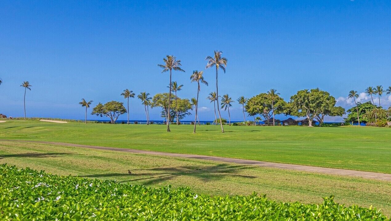 Photo of Others in Kaanapali