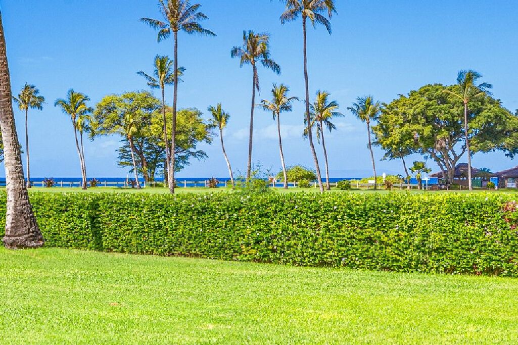 Photo of Outdoor in Kaanapali