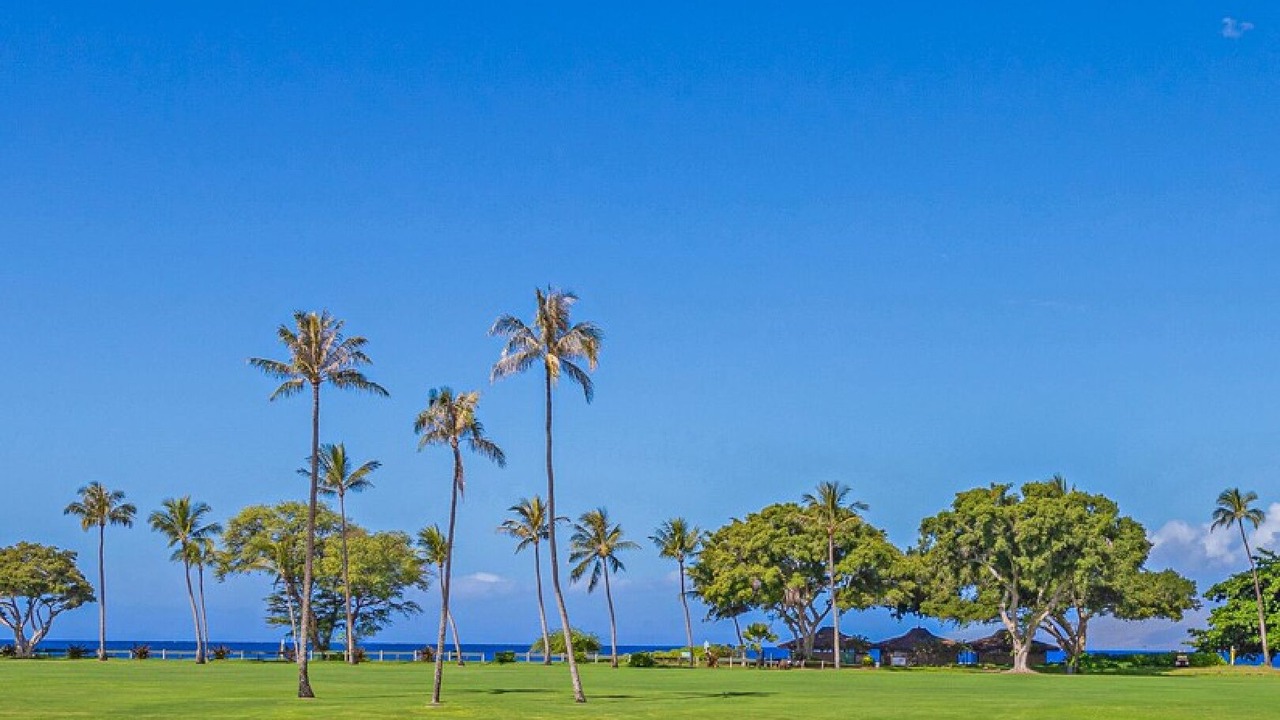 Photo of Others in Kaanapali