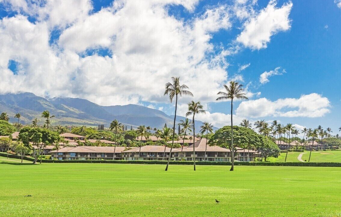 Photo of Others in Kaanapali