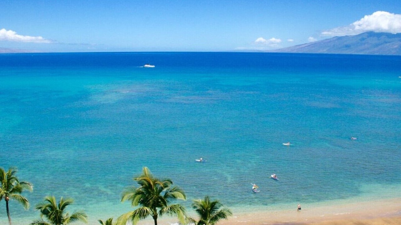 Photo of Others in Kahana