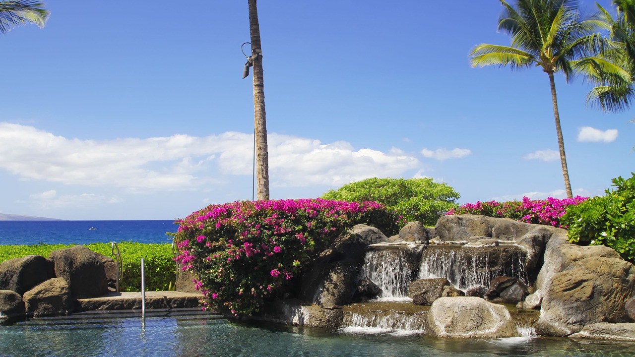 Photo of Outdoor in Wailea