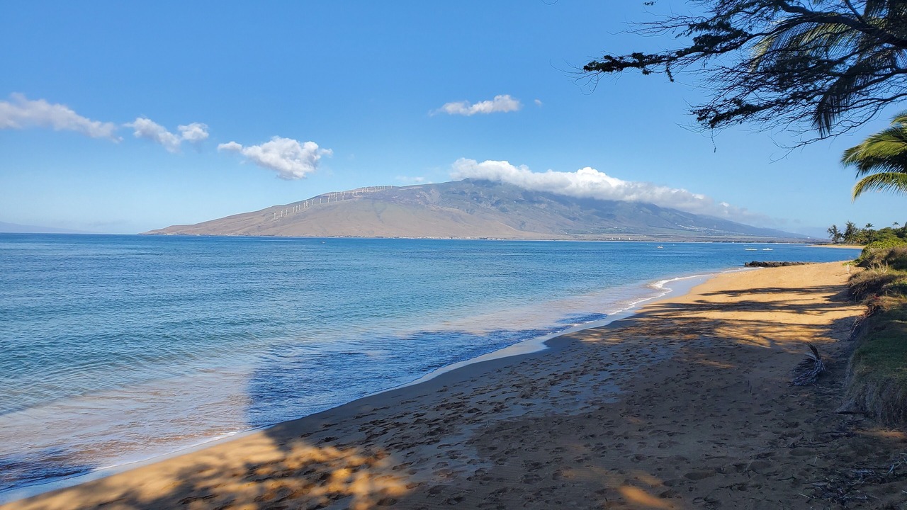Photo of Others in Kihei