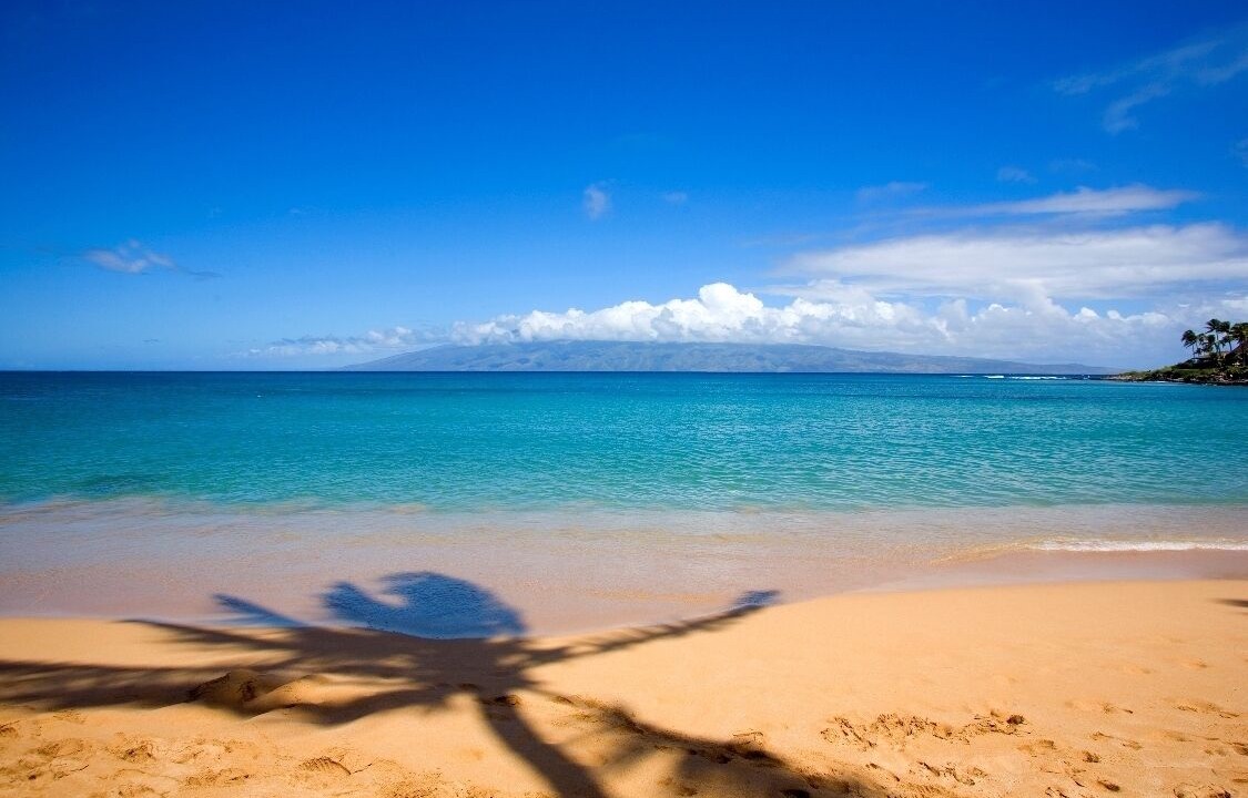 Photo of Others in Napili