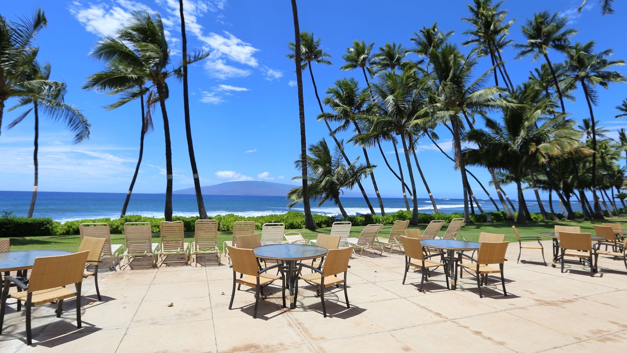 Photo of Others in Historic Lahaina Front Street