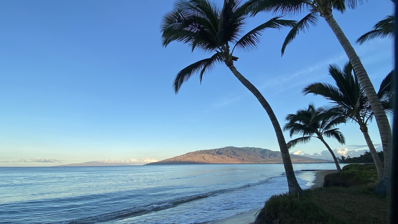 Photo of Others in Kihei