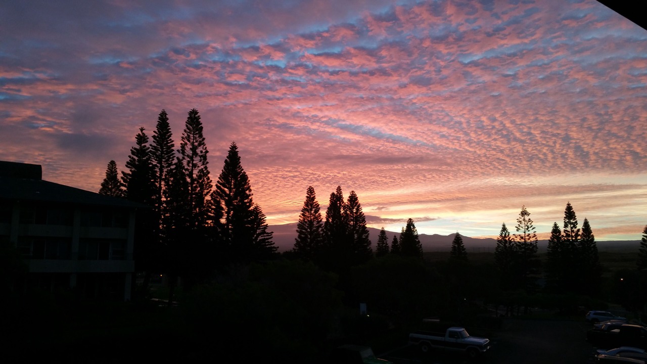 Photo of Others in Waikoloa Village