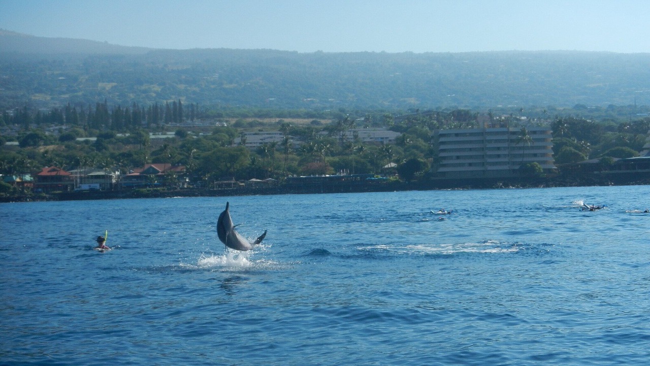 Photo of Others in Kailua-Kona