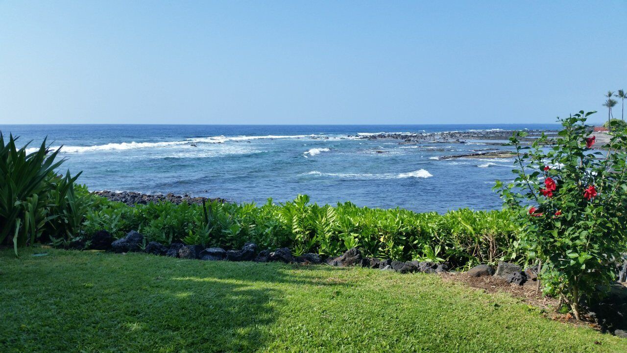 Photo of Others in Kahaluu-Keauhou