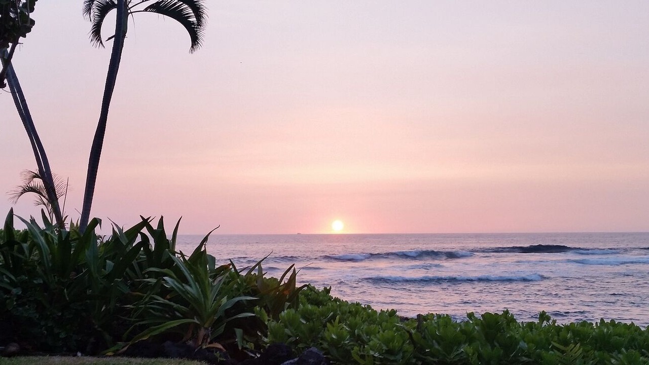 Photo of Others in Kahaluu-Keauhou