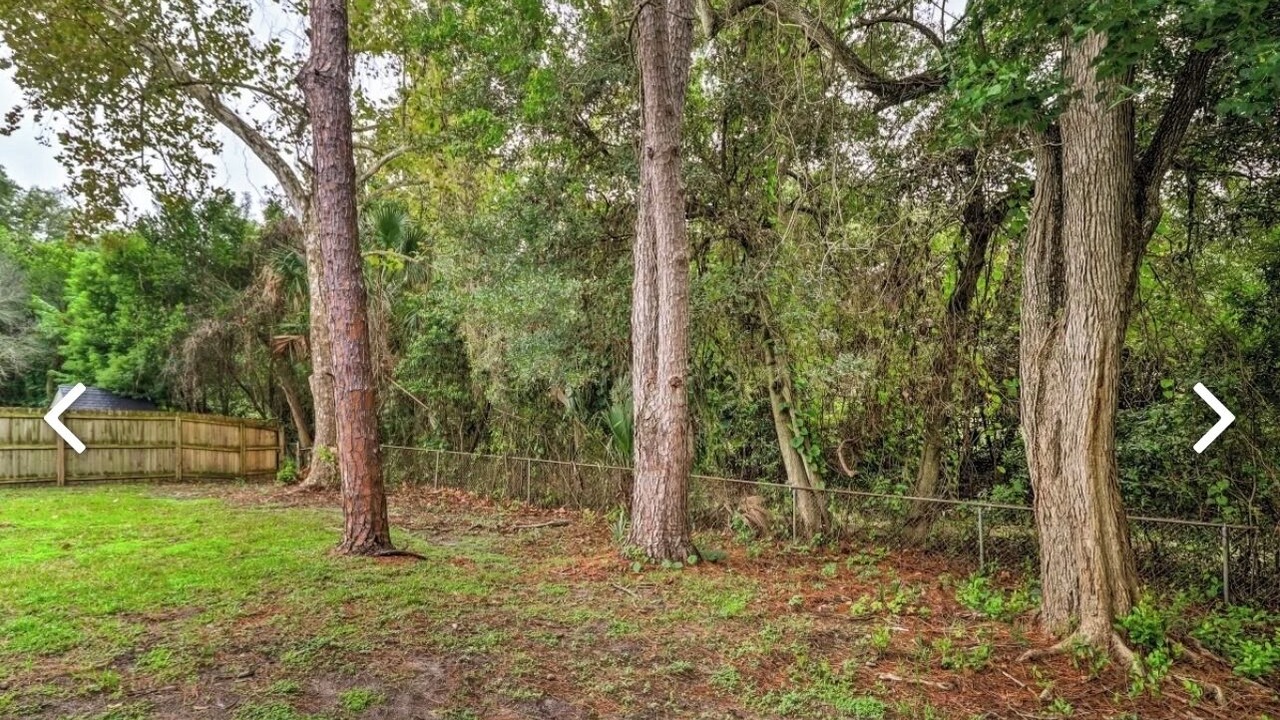 Photo of Outdoor in Arlington