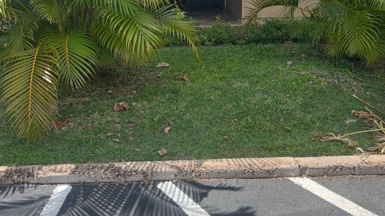 Photo of Outdoor in Honokowai