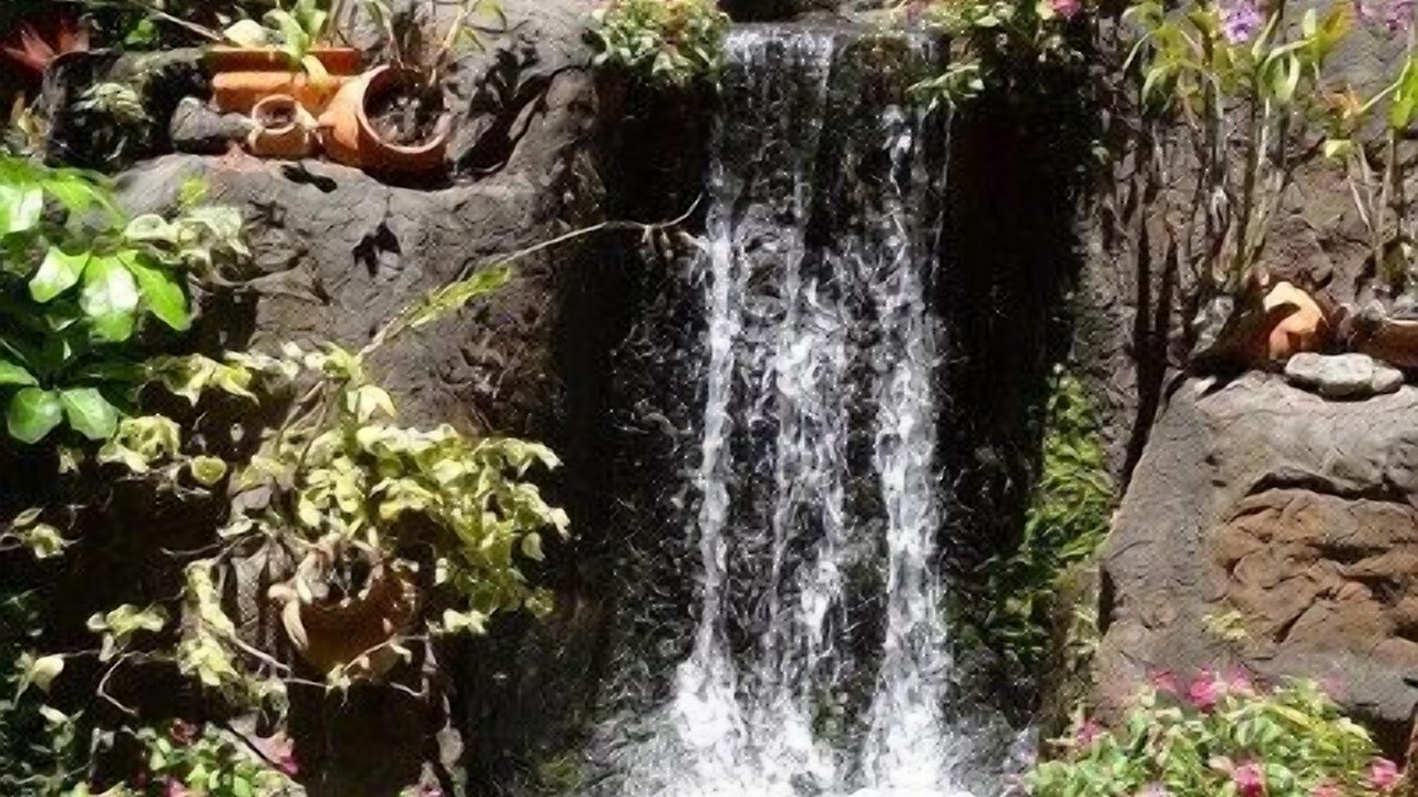 Photo of Others in Honokowai
