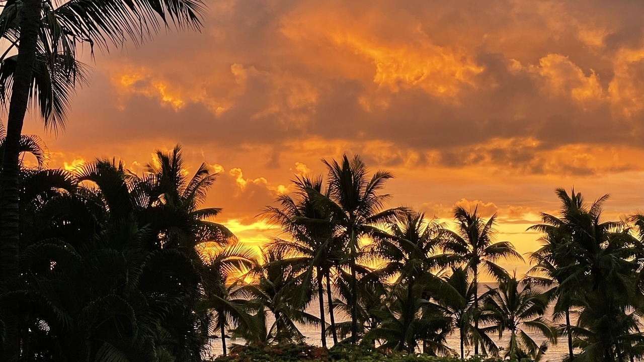 Photo of Others in Kahaluu Bay