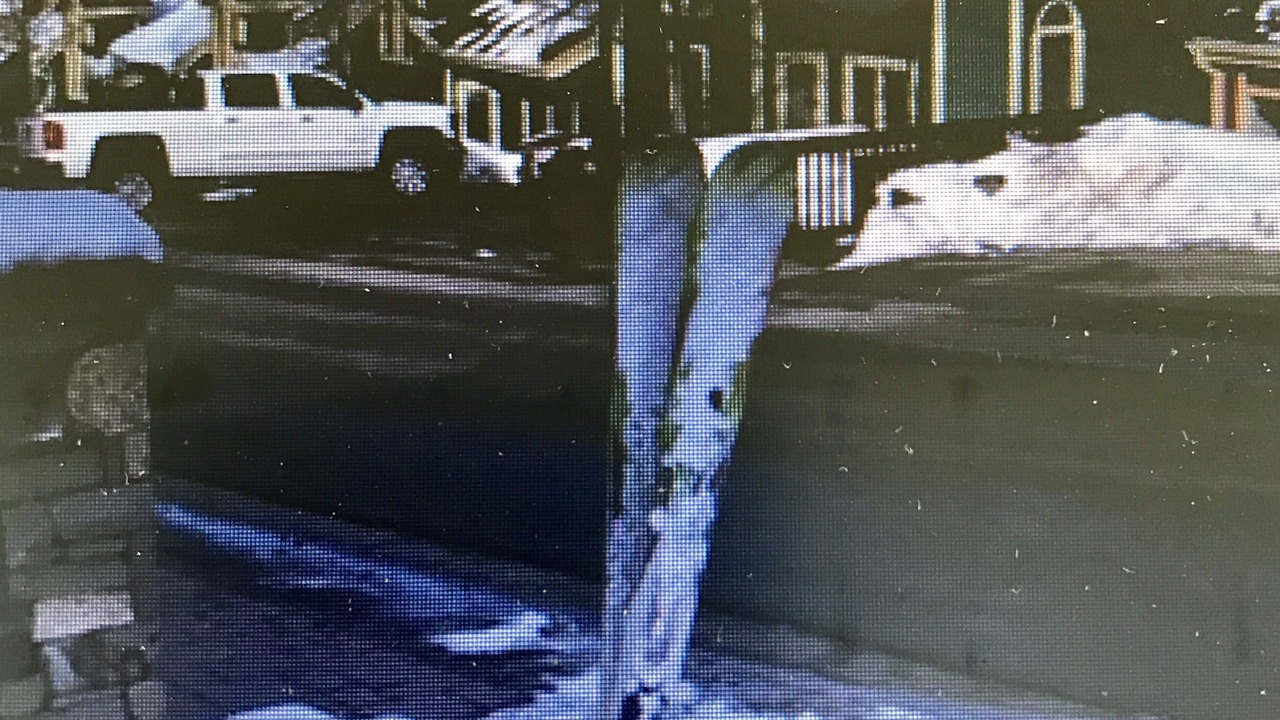 Photo of Others in Downtown Park City