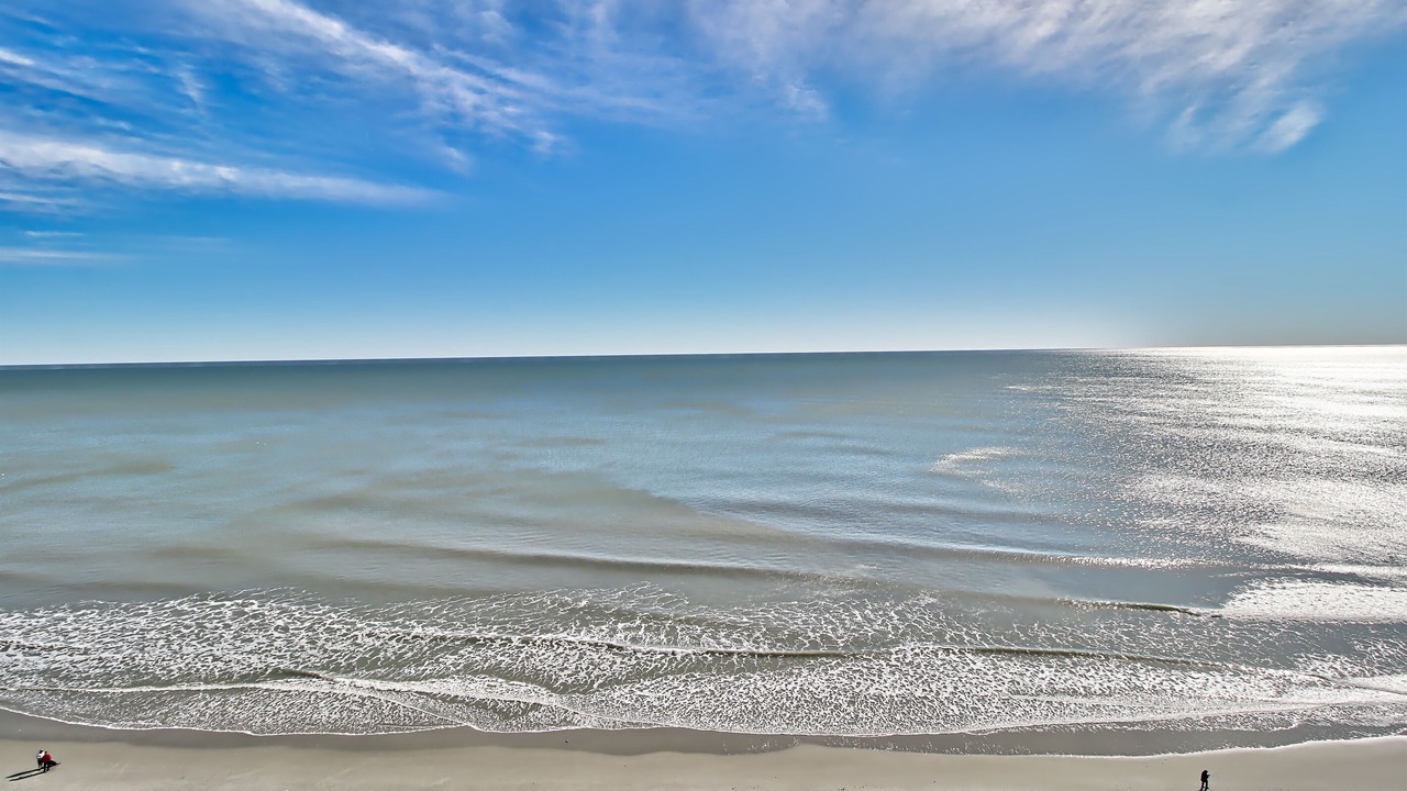 Photo of Others in Myrtle Beach