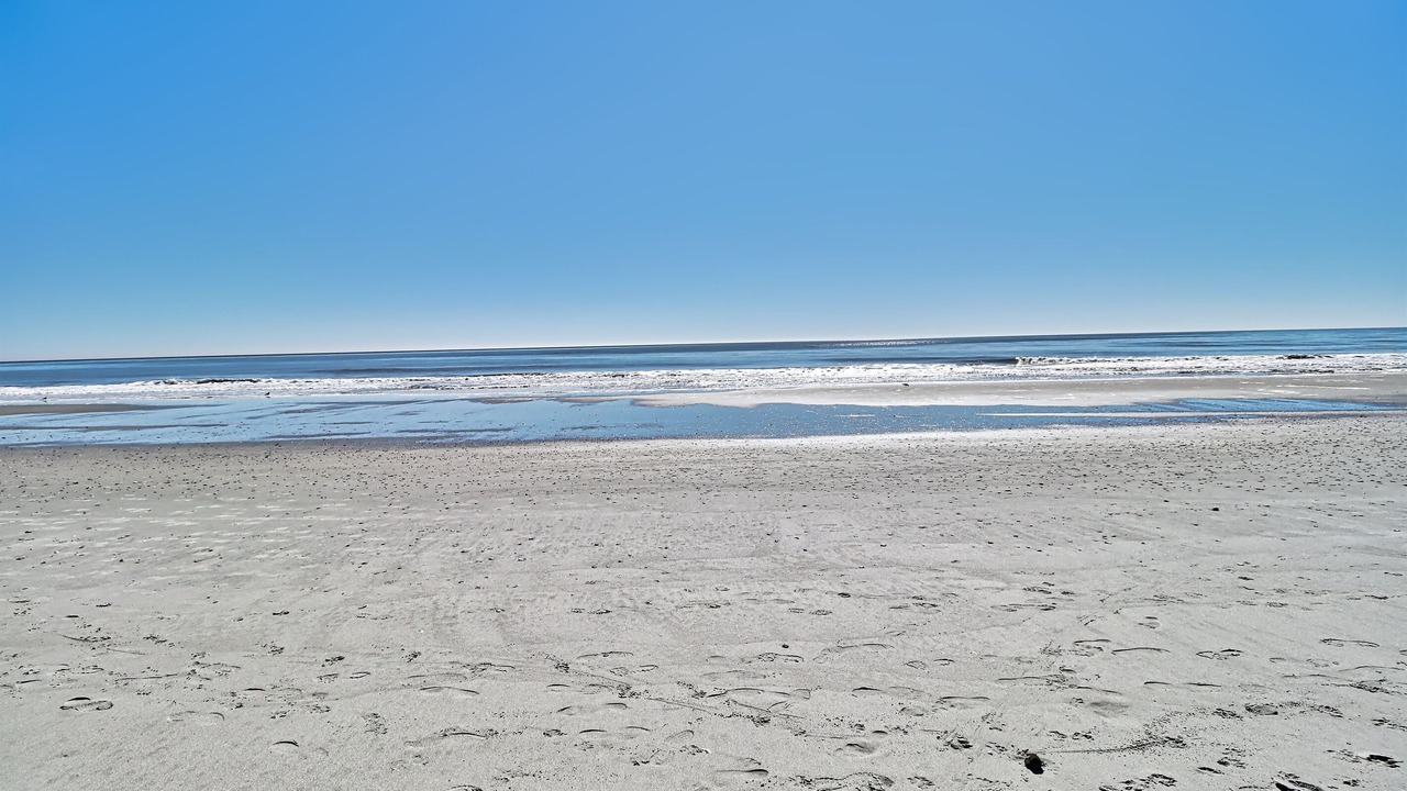 Photo of Others in Myrtle Beach
