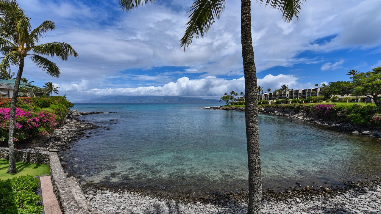 Photo of Others in Napili