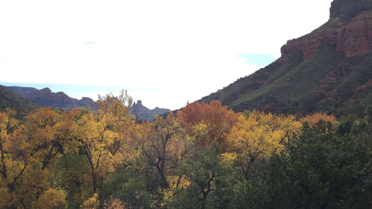 Photo of Others in Sedona