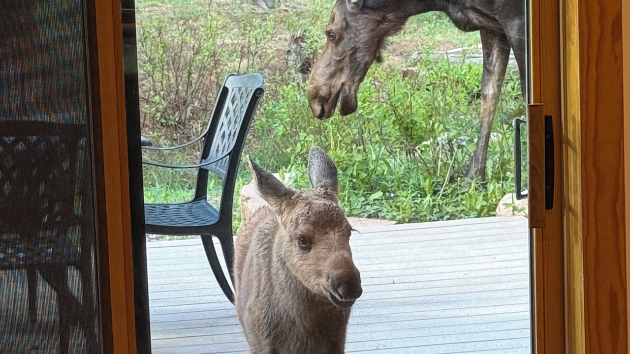 Photo of Others in Breckenridge