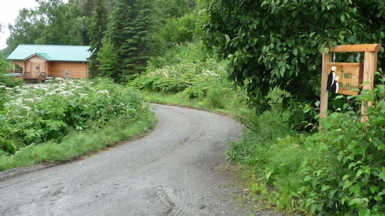 Photo of Others in Homer