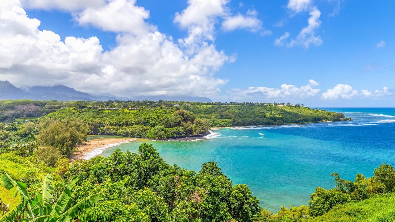 Photo of Others in Kalihiwai